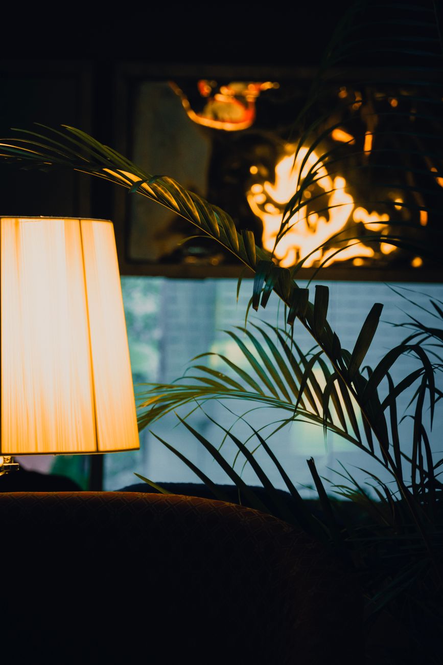 Warm architectural lighting in evening living room